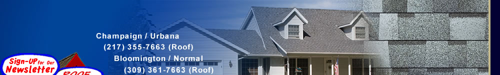 The Roofing Dog