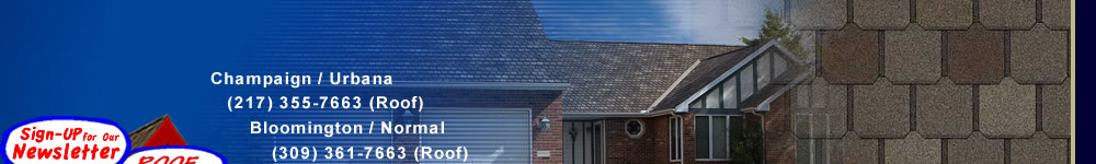 The Roofing Dog