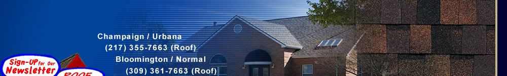 The Roofing Dog