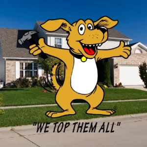 Roofing Dog - We Top Them All